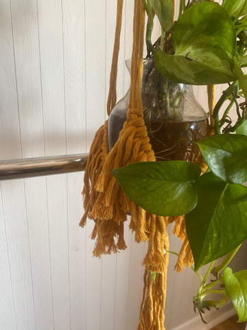 Assorted Plant Hangers