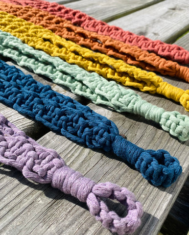 Retro Rainbow Simple Plant Hangers