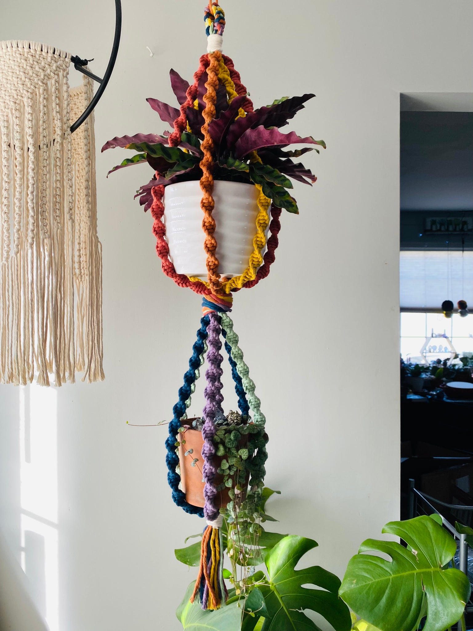 Retro Rainbow Double Plant Hanger